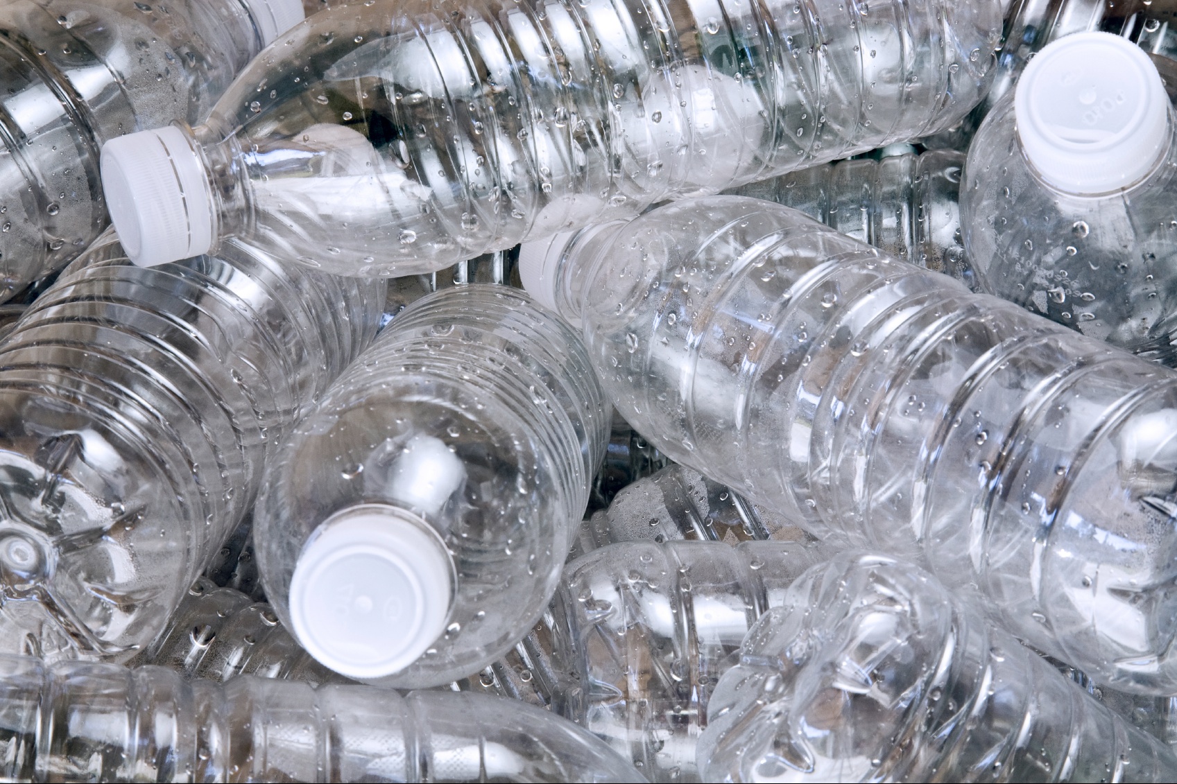Japoneses descobrem bactéria capaz de desintegrar plástico de garrafa PET