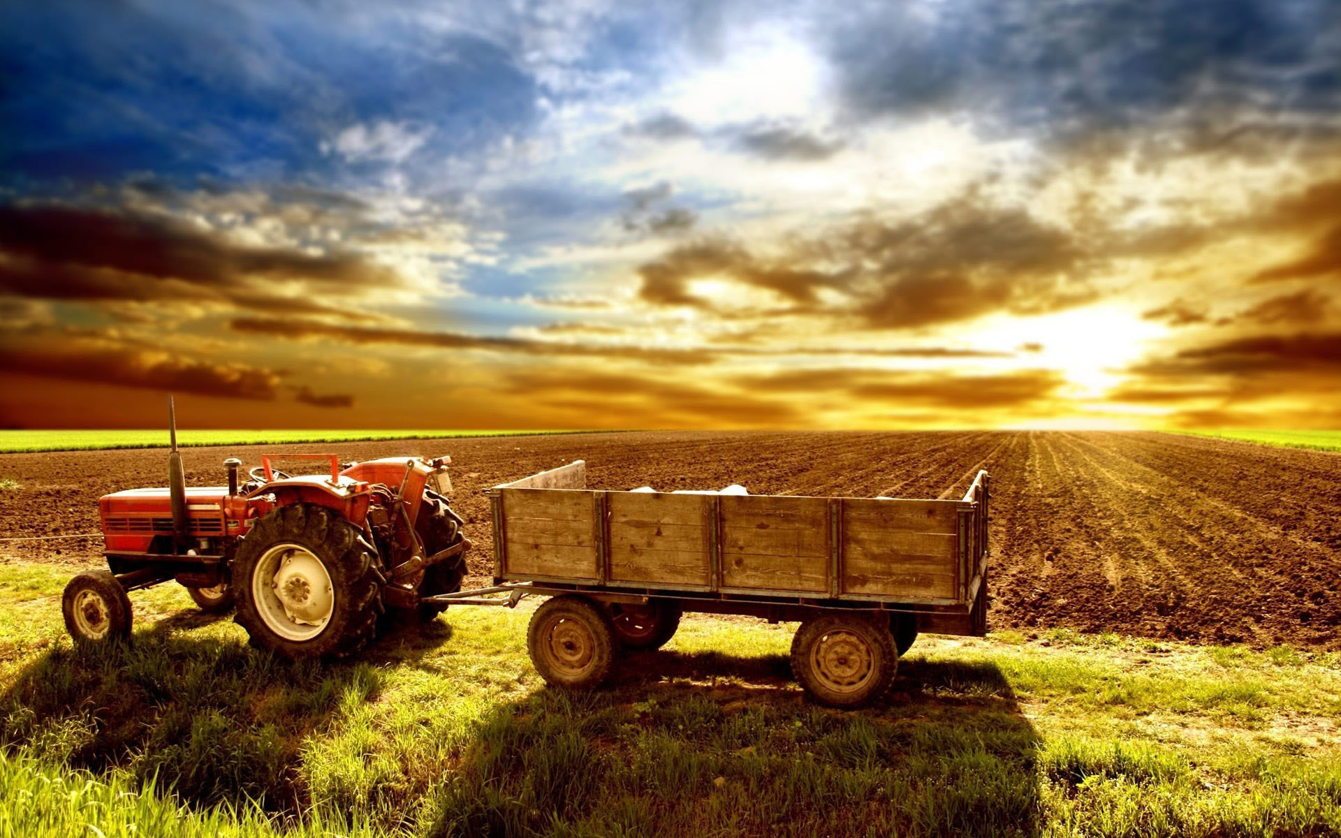 Agronegócio ganha força com tecnologia da informação